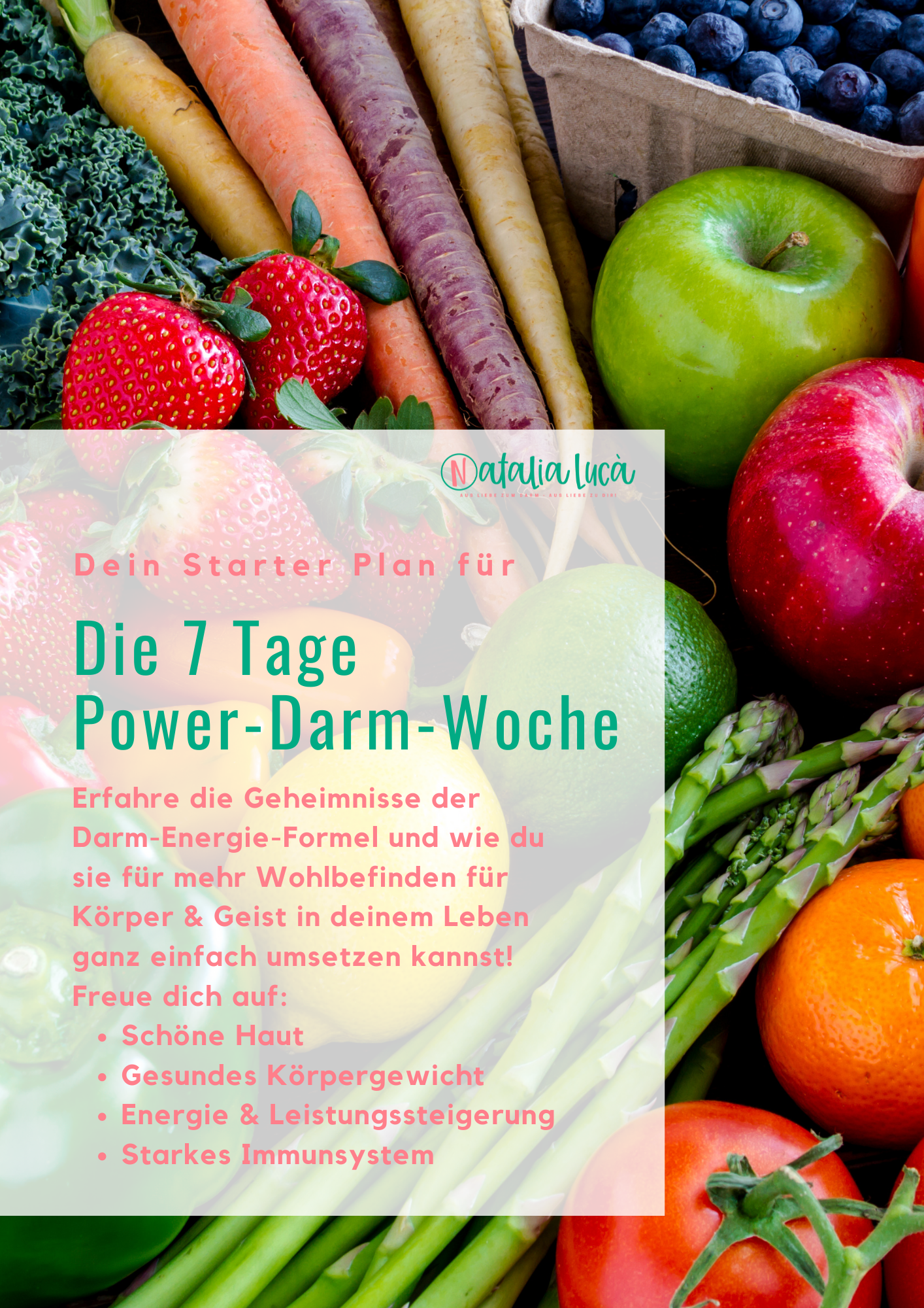 Dein Starter Plan für die 7 Tage Power-Darm-Woche